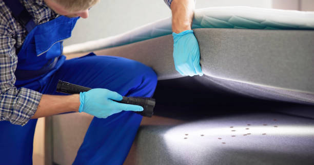 Best Pest Control Near Me  in Anderson Creek, NC
