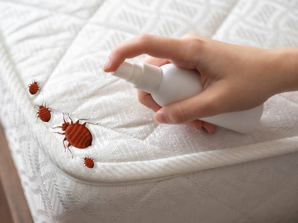 Best Pest Control Near Me  in Anderson Creek, NC