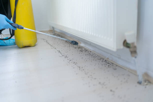 Best Commercial Pest Control Services  in Anderson Creek, NC