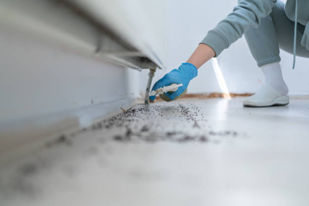 Best Pest Removal Services  in Anderson Creek, NC